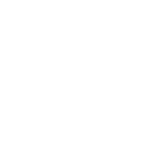 Safe Car Logo Blanco